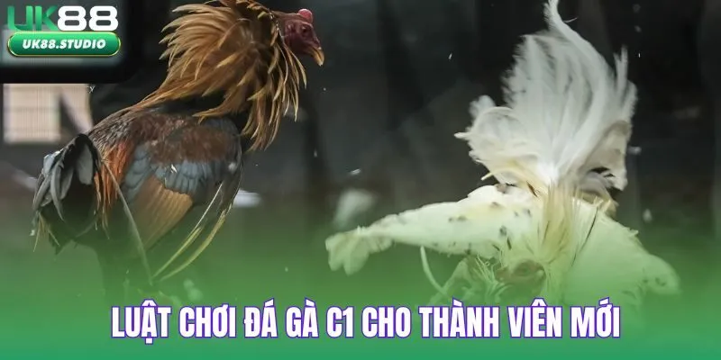 Luật chơi đá gà C1 cho thành viên mới