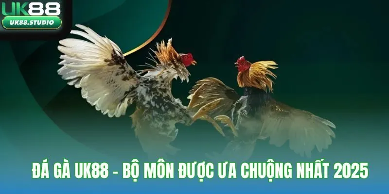 Đá gà UK88 - bộ môn siêu đỉnh được ưa chuộng nhất